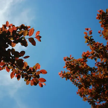 Familie Kameleon Hotel Olsberg