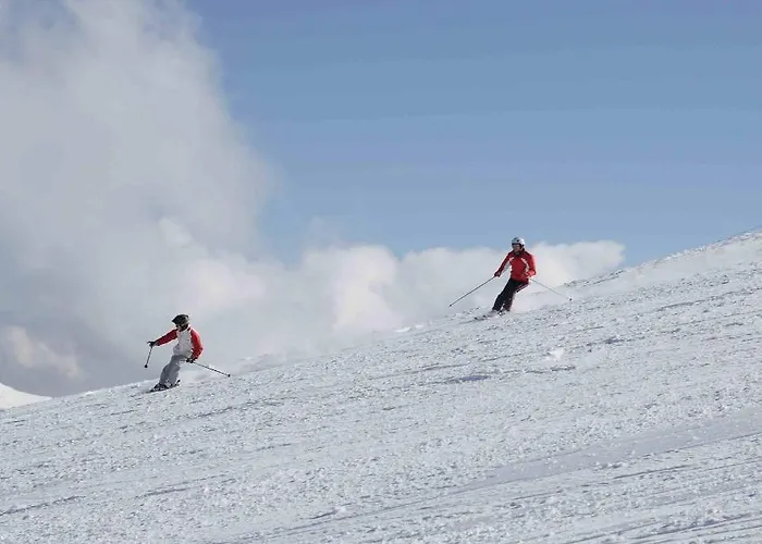 Familie Kameleon اولسبرغ