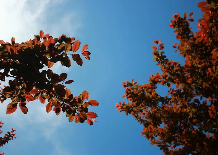 Familie Kameleon فندق اولسبرغ