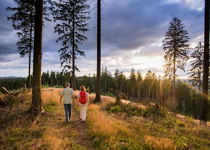 Familie Kameleon فندق